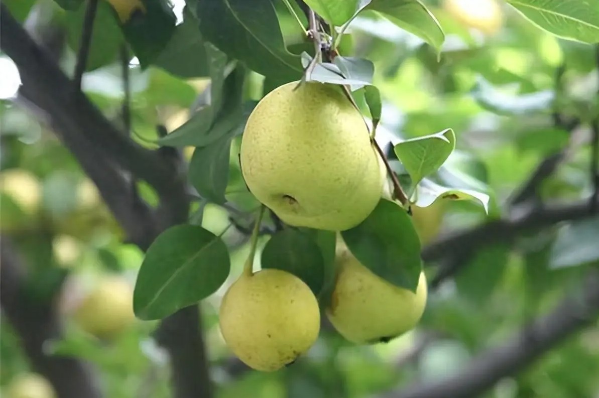 圖片關(guān)鍵詞