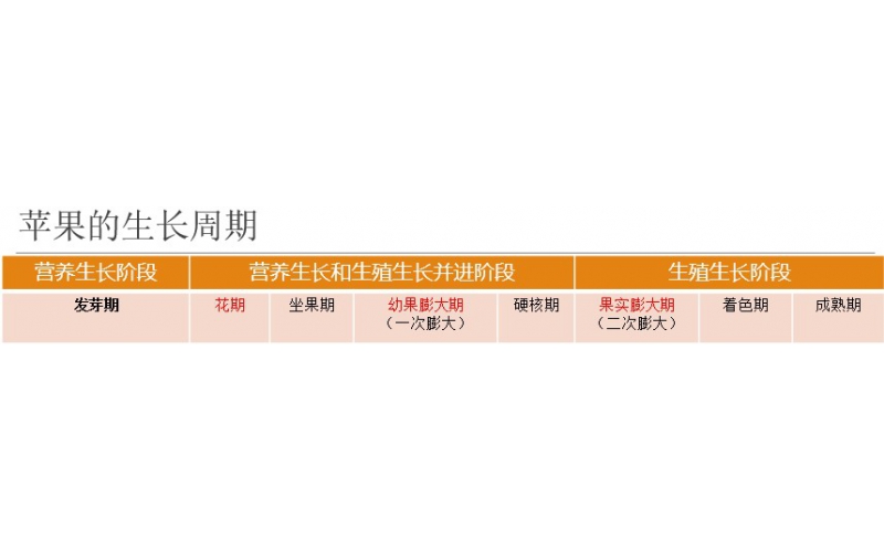 碧鈦~促進蘋果生長